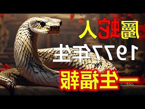 1977年屬什麼