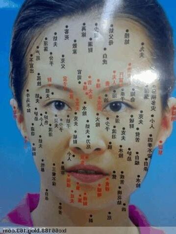 女人的面相