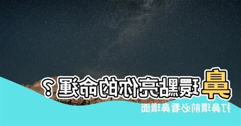 鼻環面相