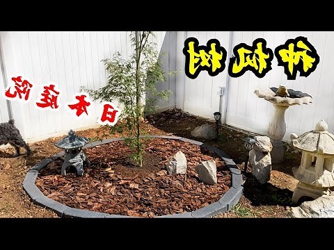 種楓樹