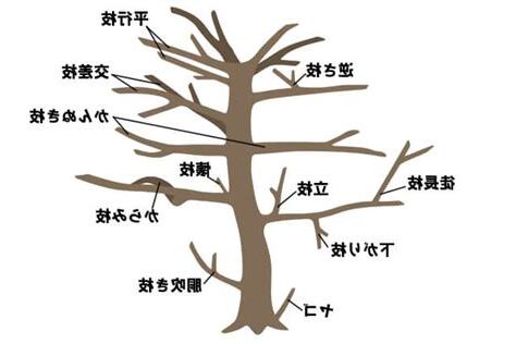 忌枝