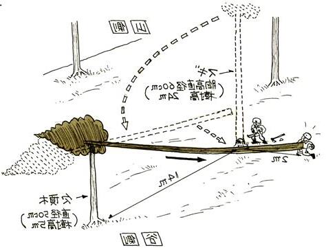 木欠