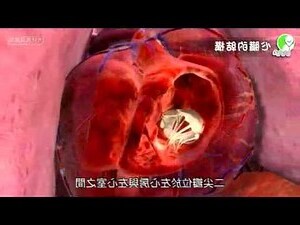 成大一活位置
