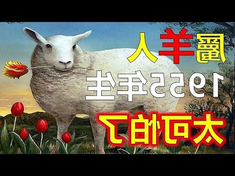 1955年生肖五行