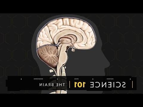 思維穴