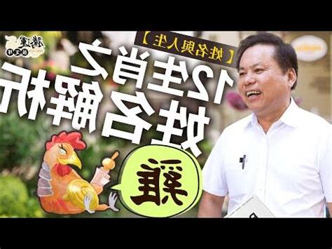 屬雞適合的名字