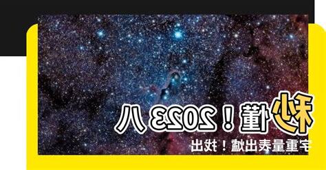 2023八字重量