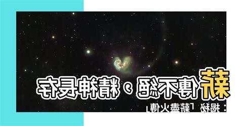 薪盡火傳意思