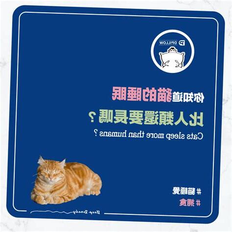 貓睡眠時間