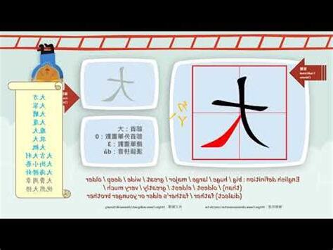 大部首的字