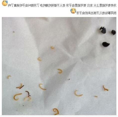 嘴巴生虫