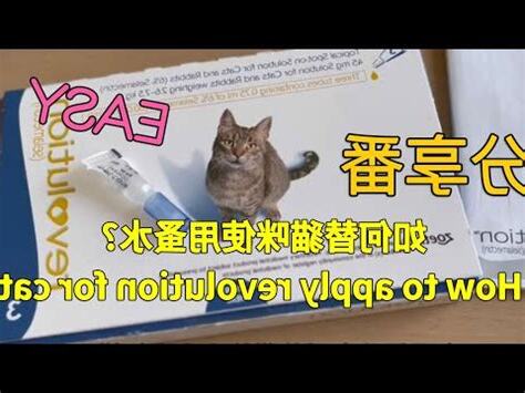貓蝨水