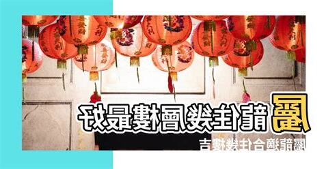 屬龍適合樓層