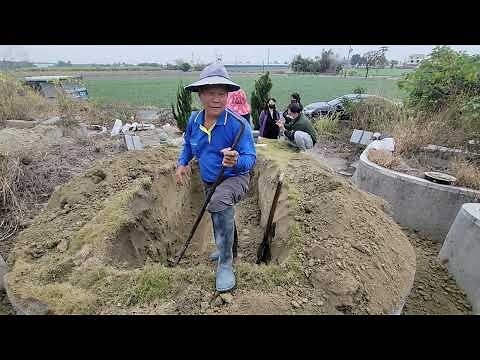 土葬撿骨骨頭顏色
