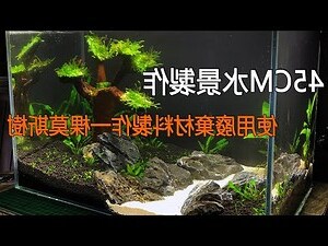 水生木工作
