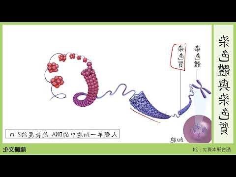 生基位是什麼
