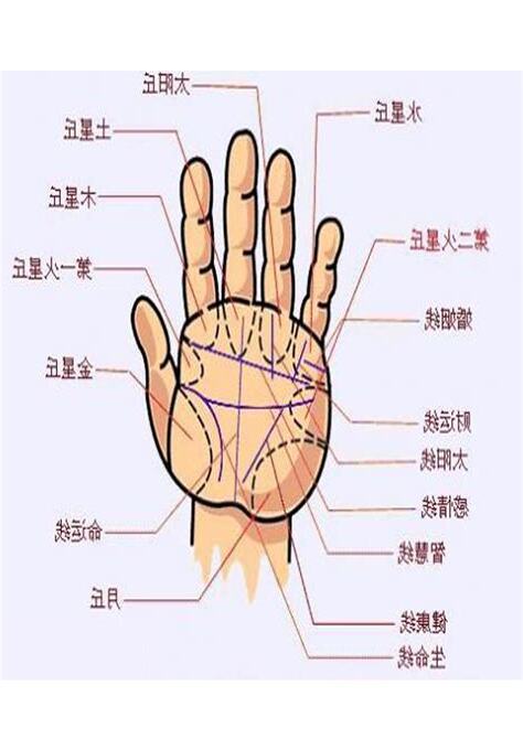 手相面相