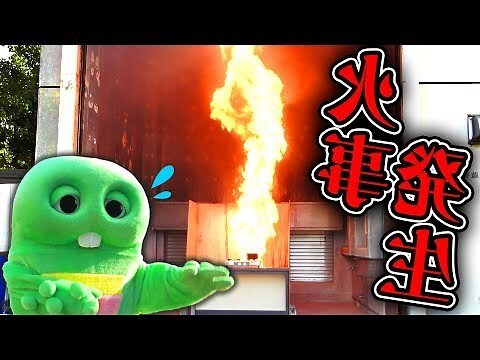 命局火六局