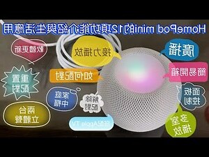 铁树放门口