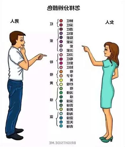 男女不同的地方