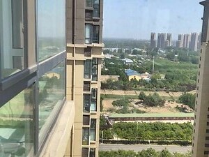 安置意思