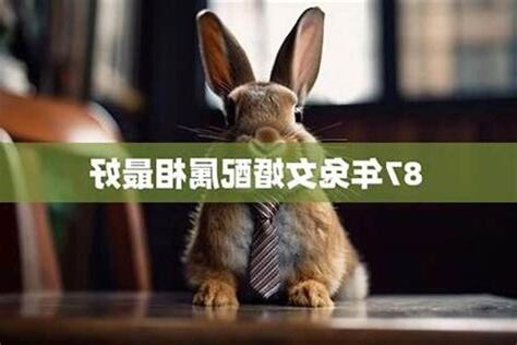 87年属相