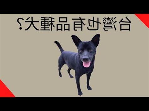 土狗顏色