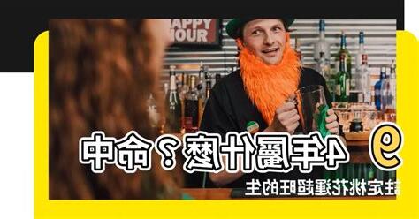 94屬什麼