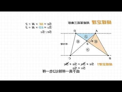蝴蝶代表數字