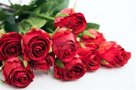 玖瑰花