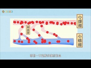 九魚圖遊的方向