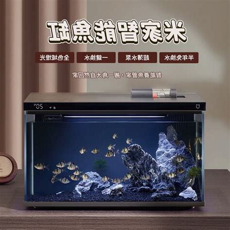 辦公室小魚缸風水