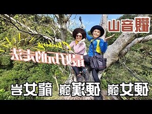 觀音山鬍鬚伯