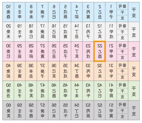 乙酉女