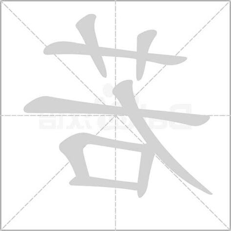 若字五行