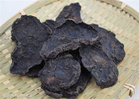 何首烏不能跟什麼一起吃