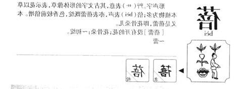 蓓名字
