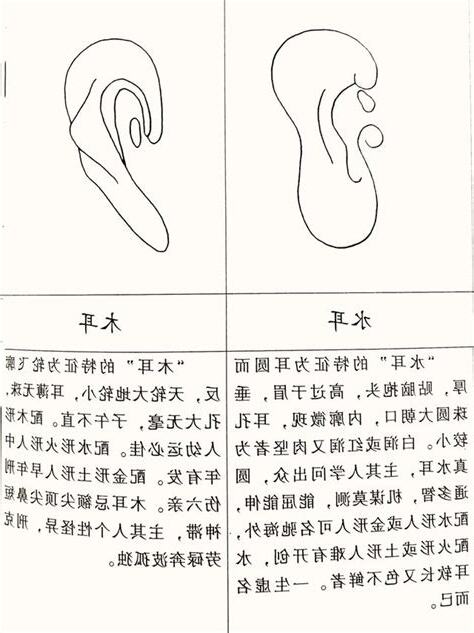 耳型面相