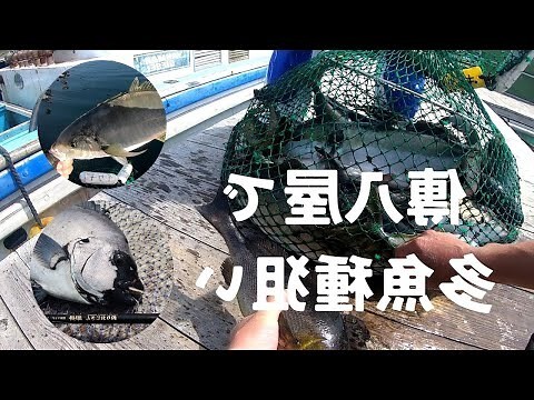 八方面屋