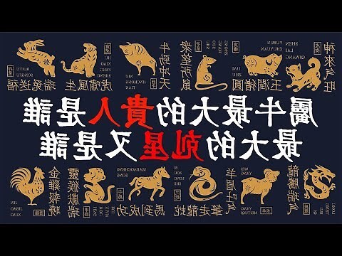 屬牛的