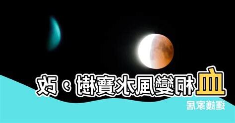 血桐風水