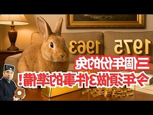 1975年兔男