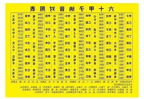 2019年生肖五行