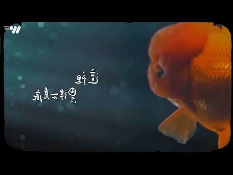 魚缸對門