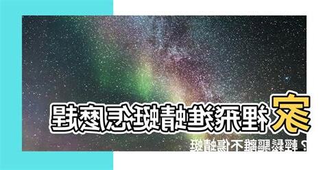 家裡有蜻蜓怎麼辦