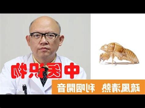 蟬蜕禁忌