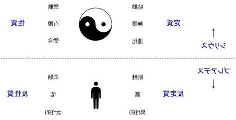 陰陽概念
