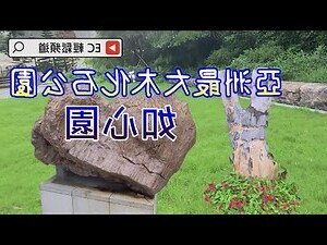 木化石顏色