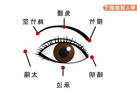 眼睛位置