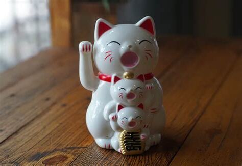 風水動物